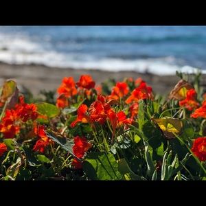 Meet your Posher, Aliza